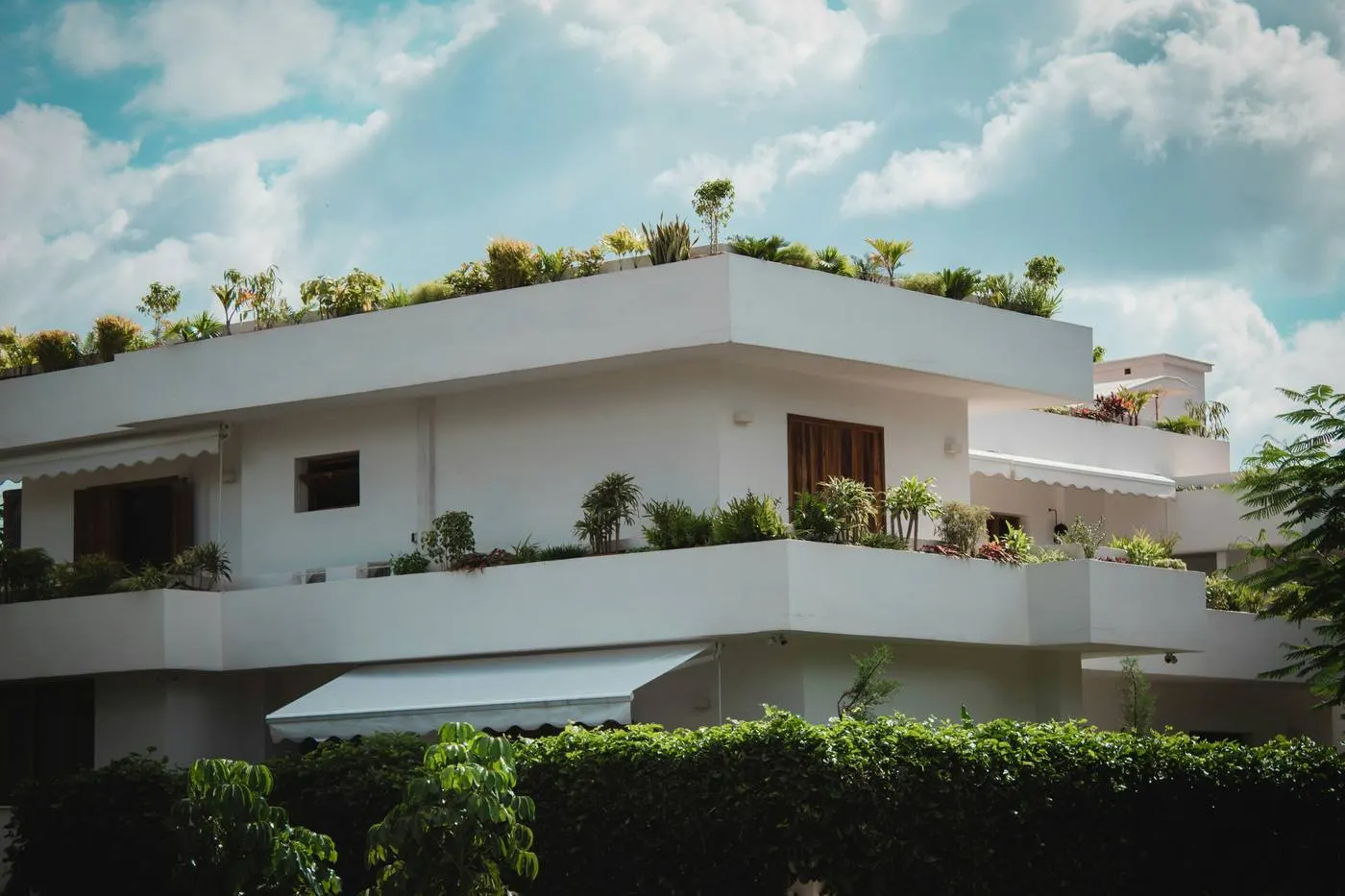 Bloc modern cu plante